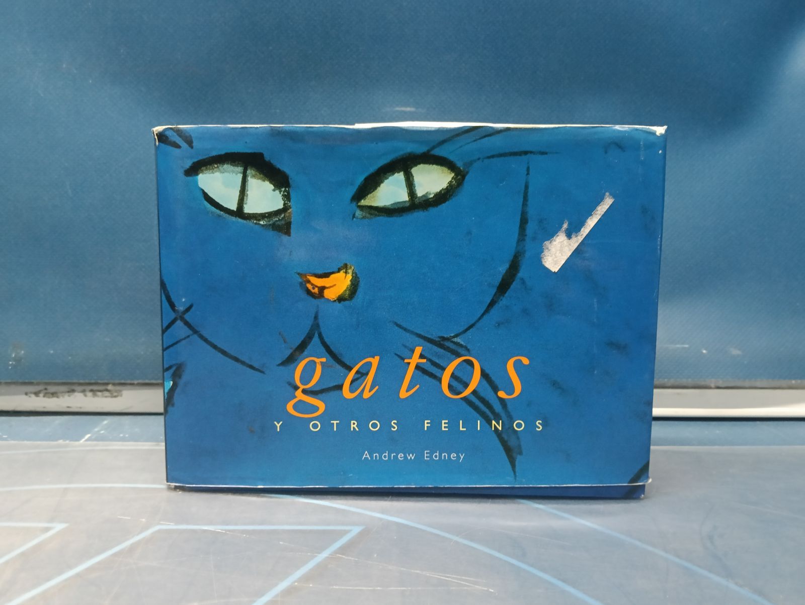 Gatos y otros felinos - Libro