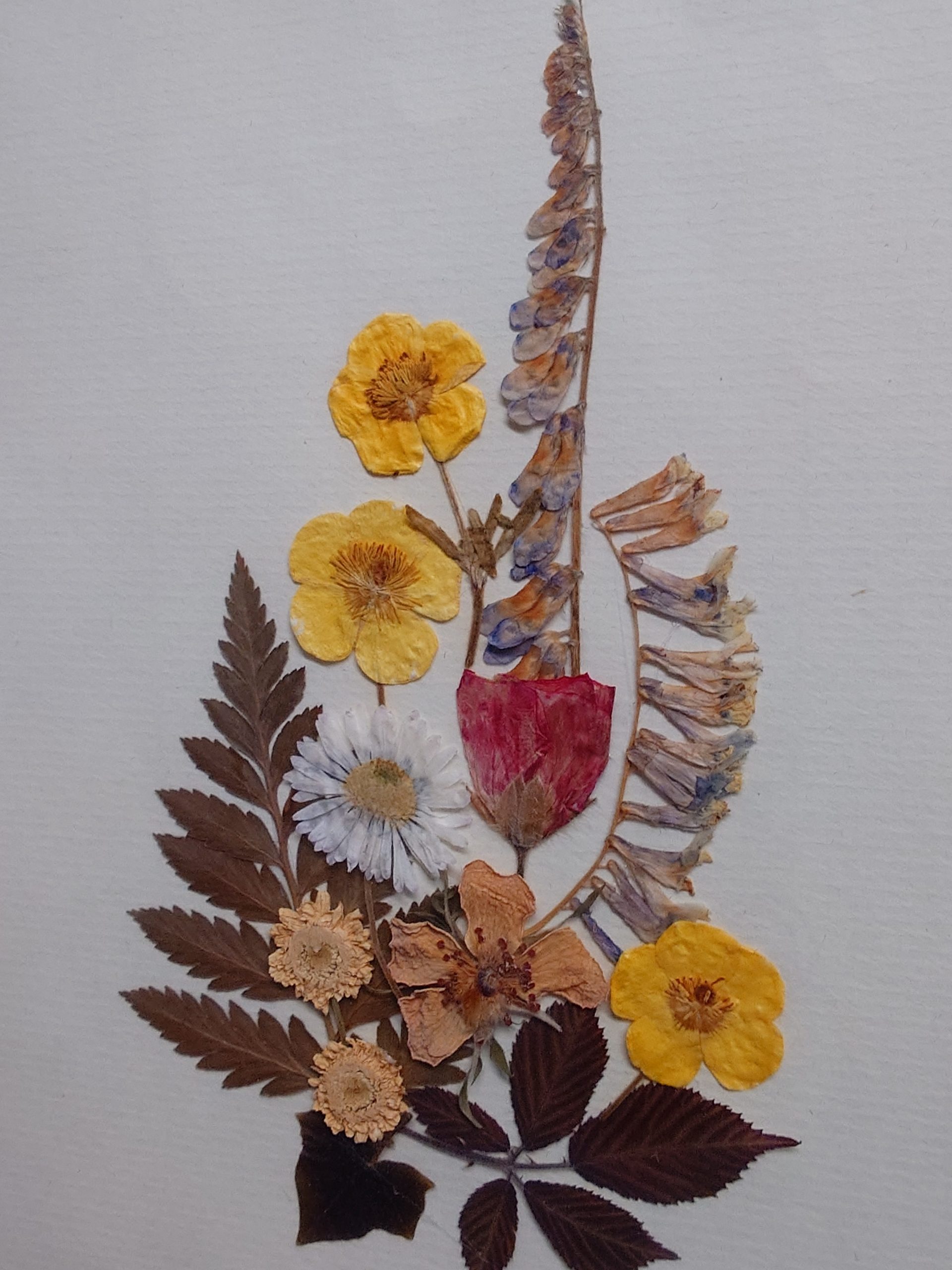 2 Cuadros Arte Floral Vintage - Imagen 6