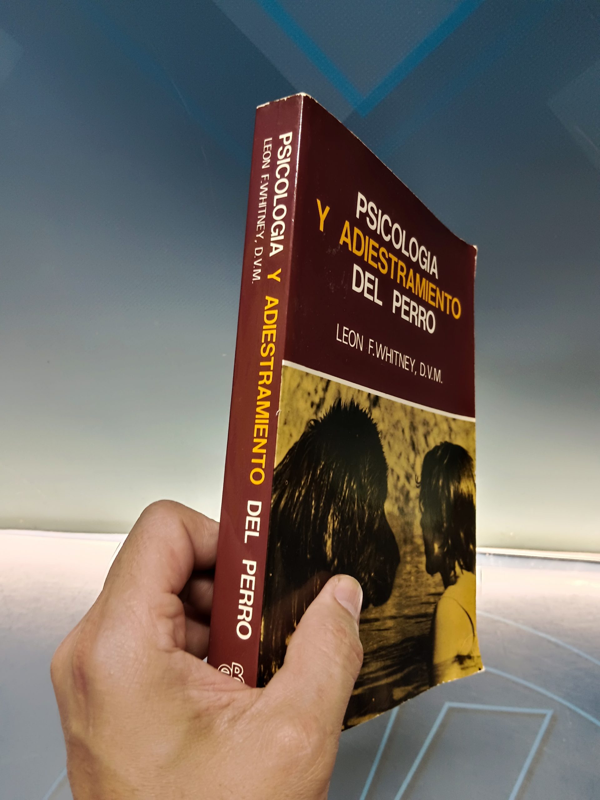 Libro, PSICOLOGÍA Y ADIESTRAMIENTO DEL PERRO, autor LEON F. WHITNEY - Imagen 2